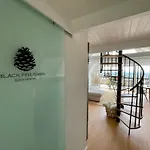 Black Pine סנטאנדרה
