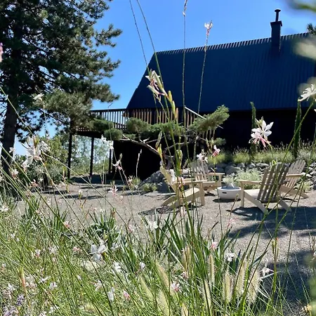 Black Pine Feriehus
