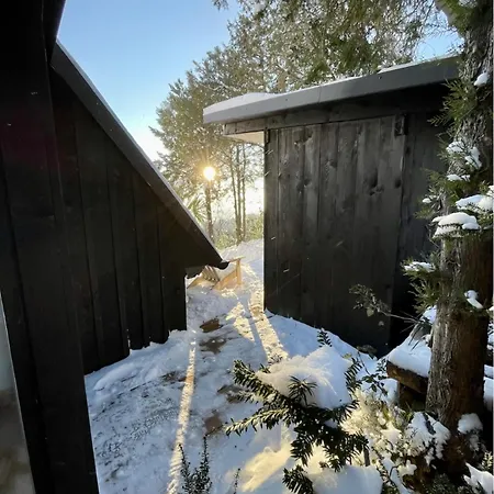 Feriehus Black Pine *