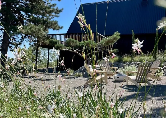 Black Pine Feriehus