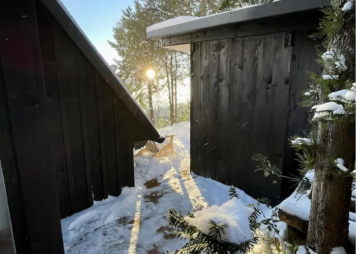 Feriehus Black Pine *